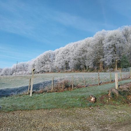 Gite En Lisiere De Foret Andaine Perrou Dış mekan fotoğraf