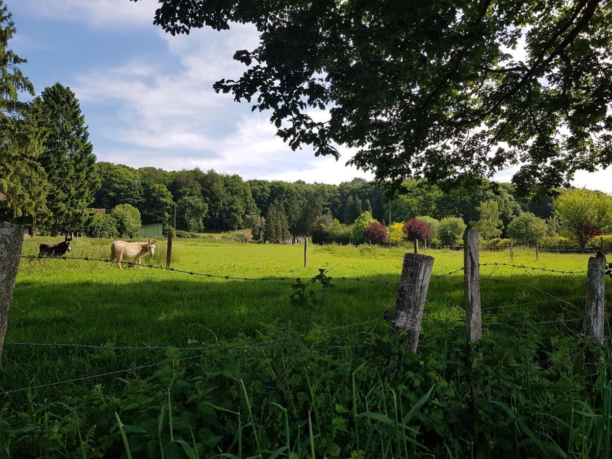 Gite En Lisiere De Foret Andaine Perrou Dış mekan fotoğraf