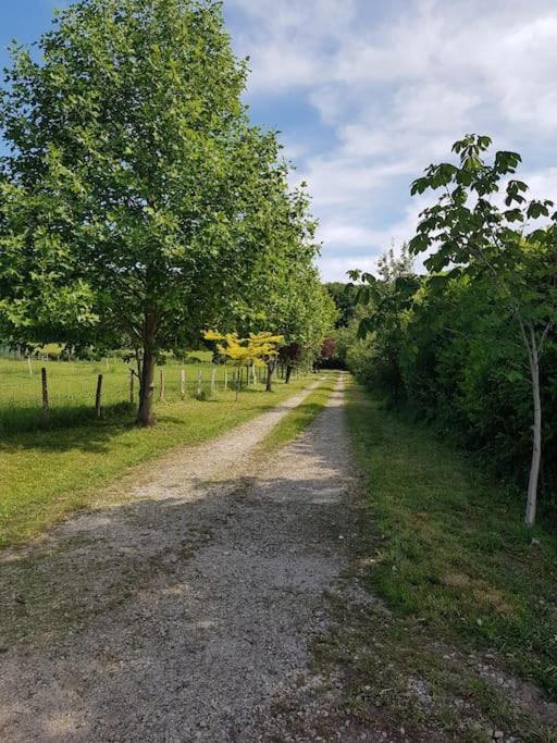 Gite En Lisiere De Foret Andaine Perrou Dış mekan fotoğraf