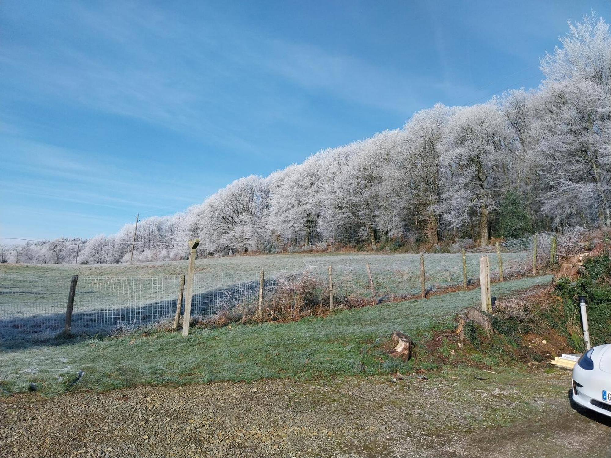Gite En Lisiere De Foret Andaine Perrou Dış mekan fotoğraf